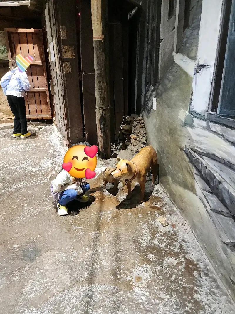 크루톡 이미지 4