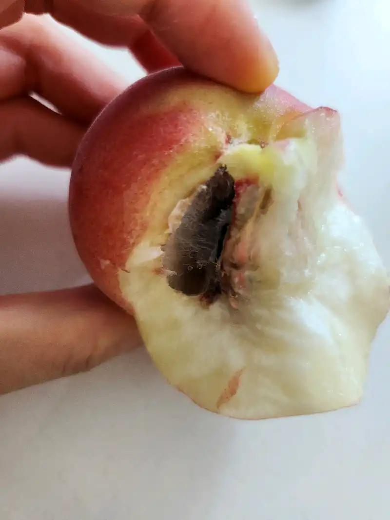 크루톡 이미지