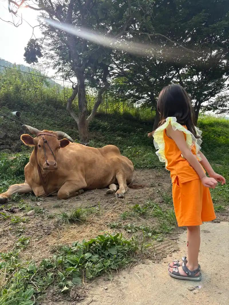 소소리농장
