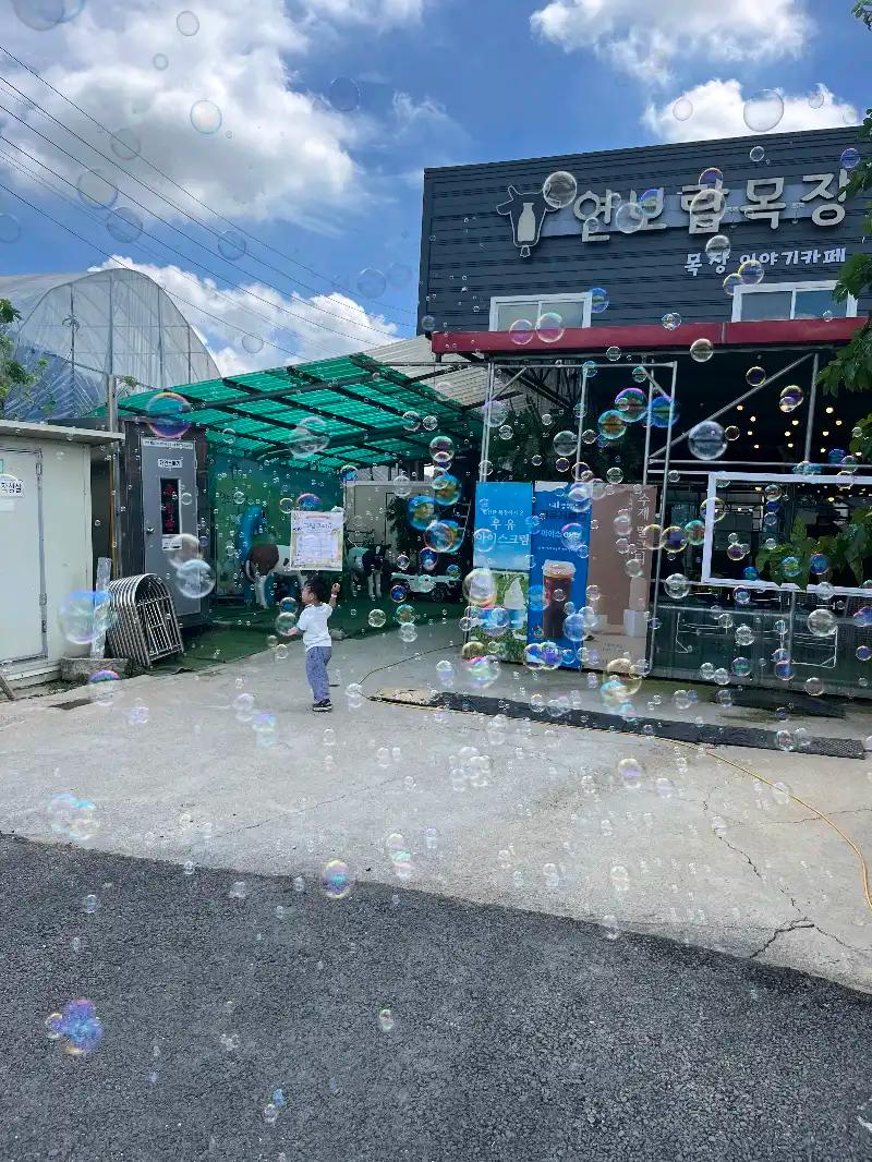 크루톡 이미지 3