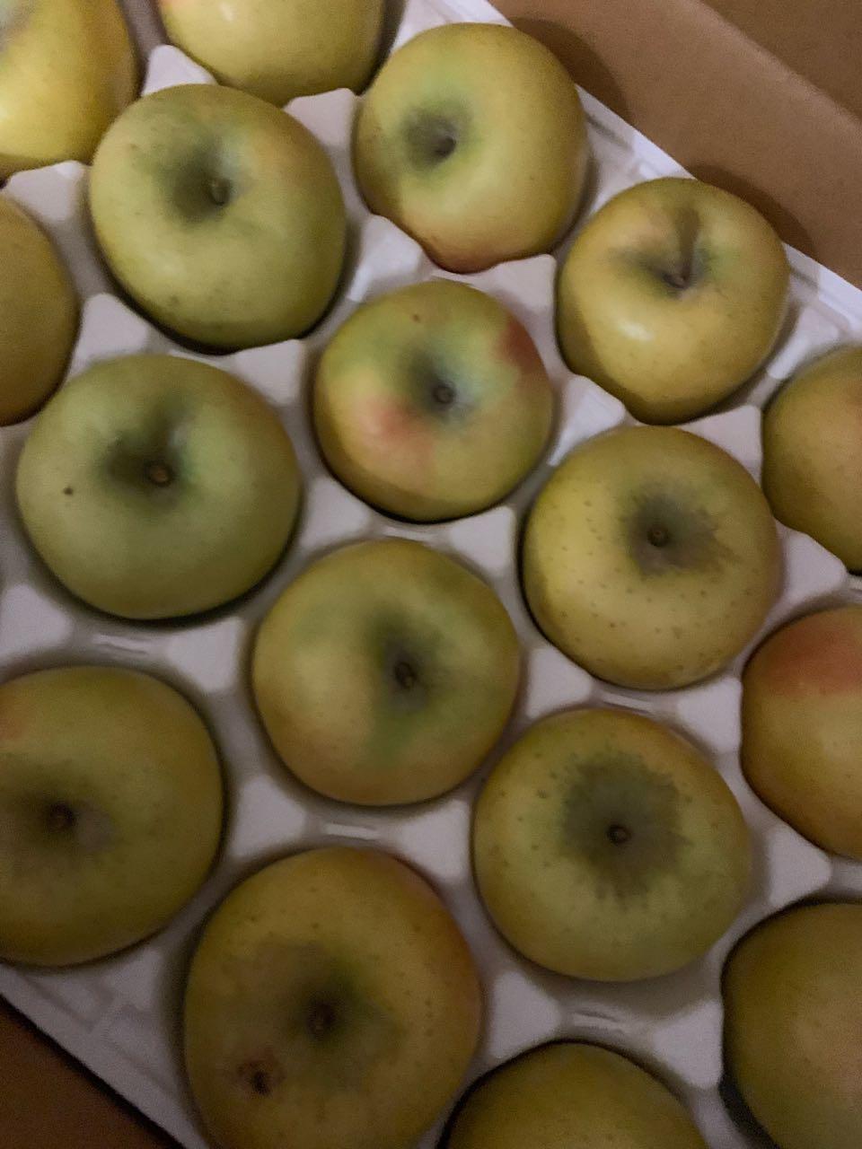 시나노 사과 같이 구매해요 🍏🍏🍏🍏🍎🍎🍎🍎 ~~