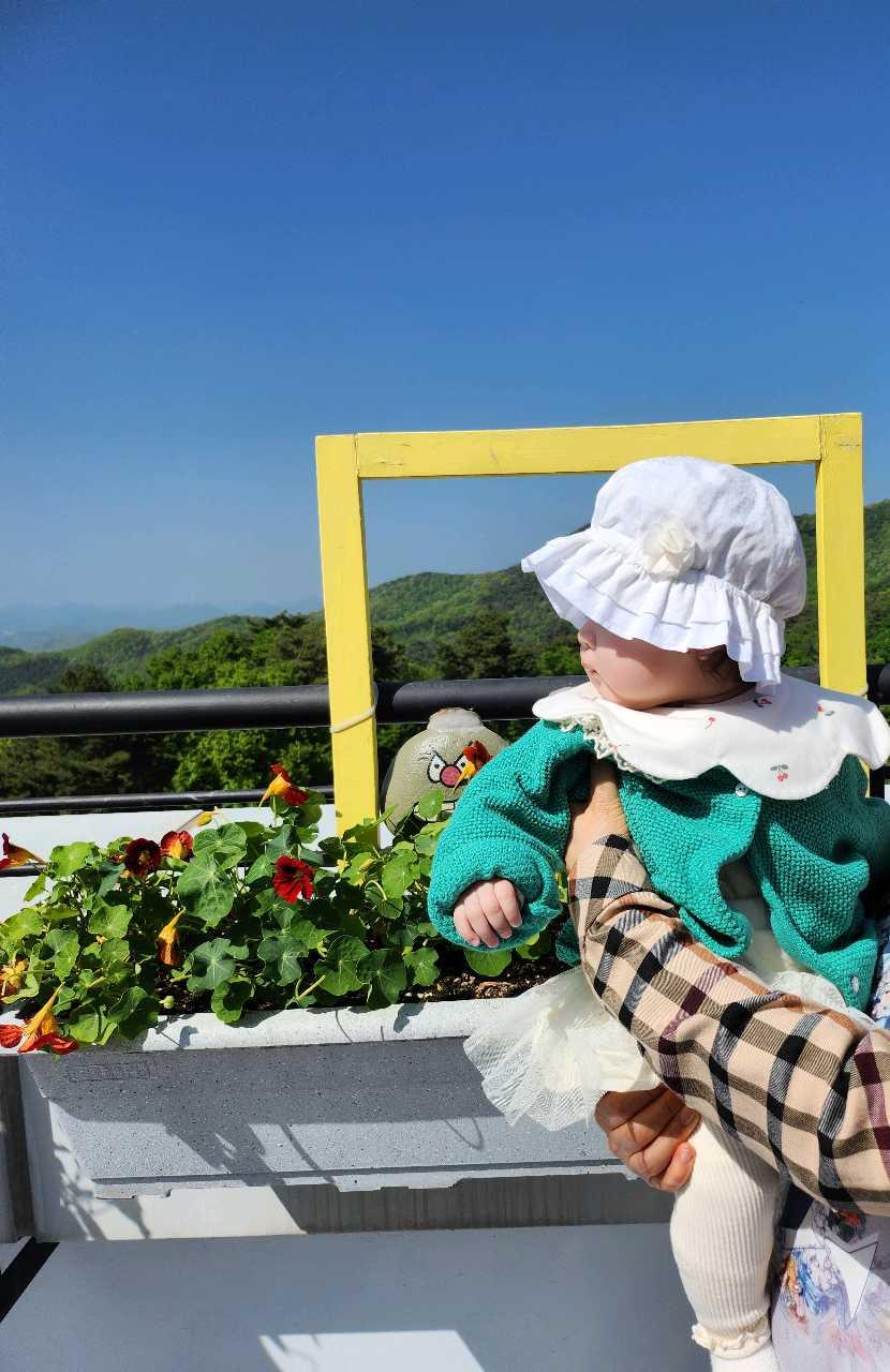 ♡원주♡토끼띠맘덜 모여라~