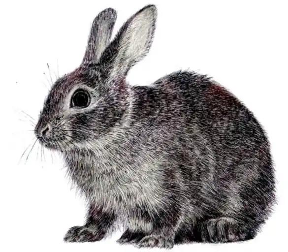 양천구 강서구 23년생 흑토끼띠맘 육아 소통해요!