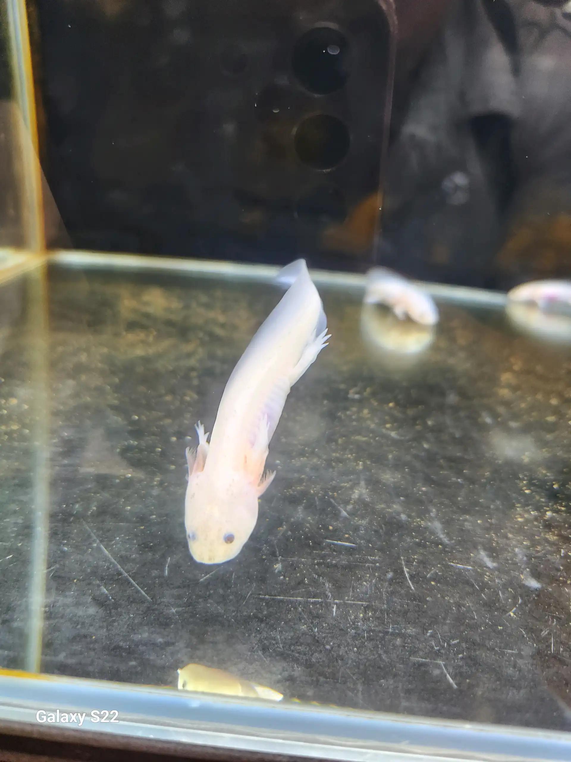크루톡 이미지 1