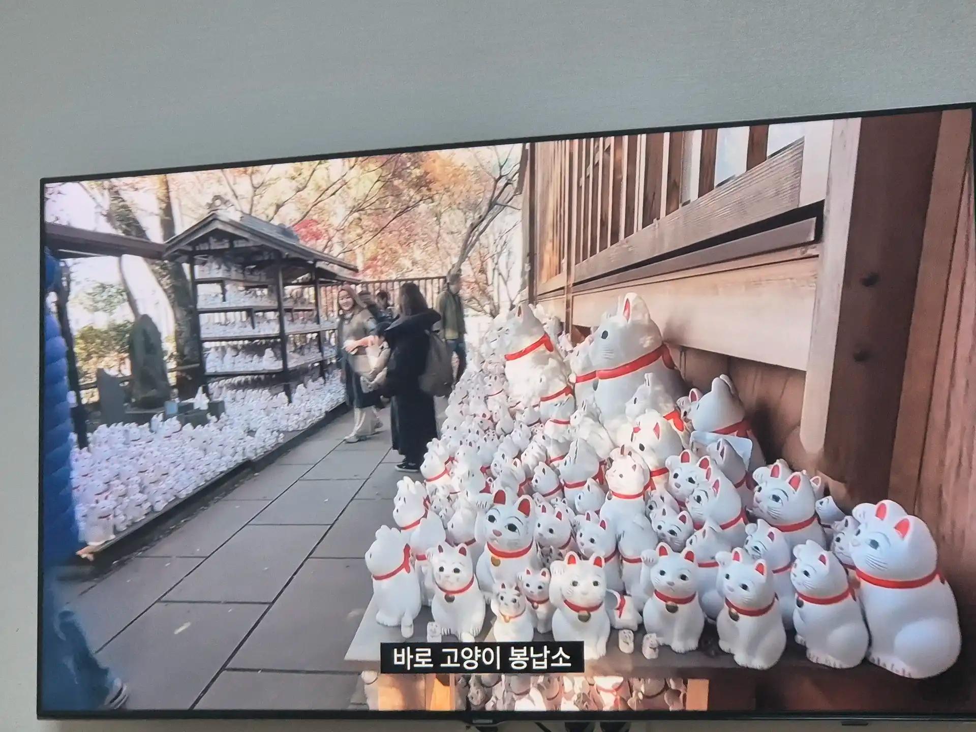 크루톡 이미지