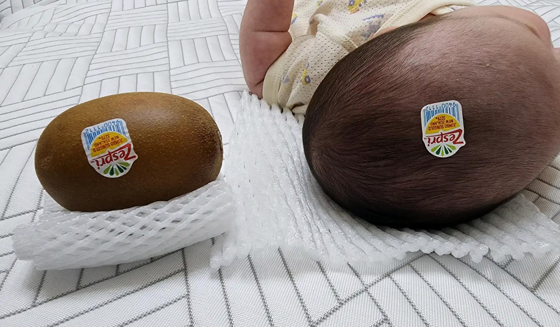 크루톡 이미지