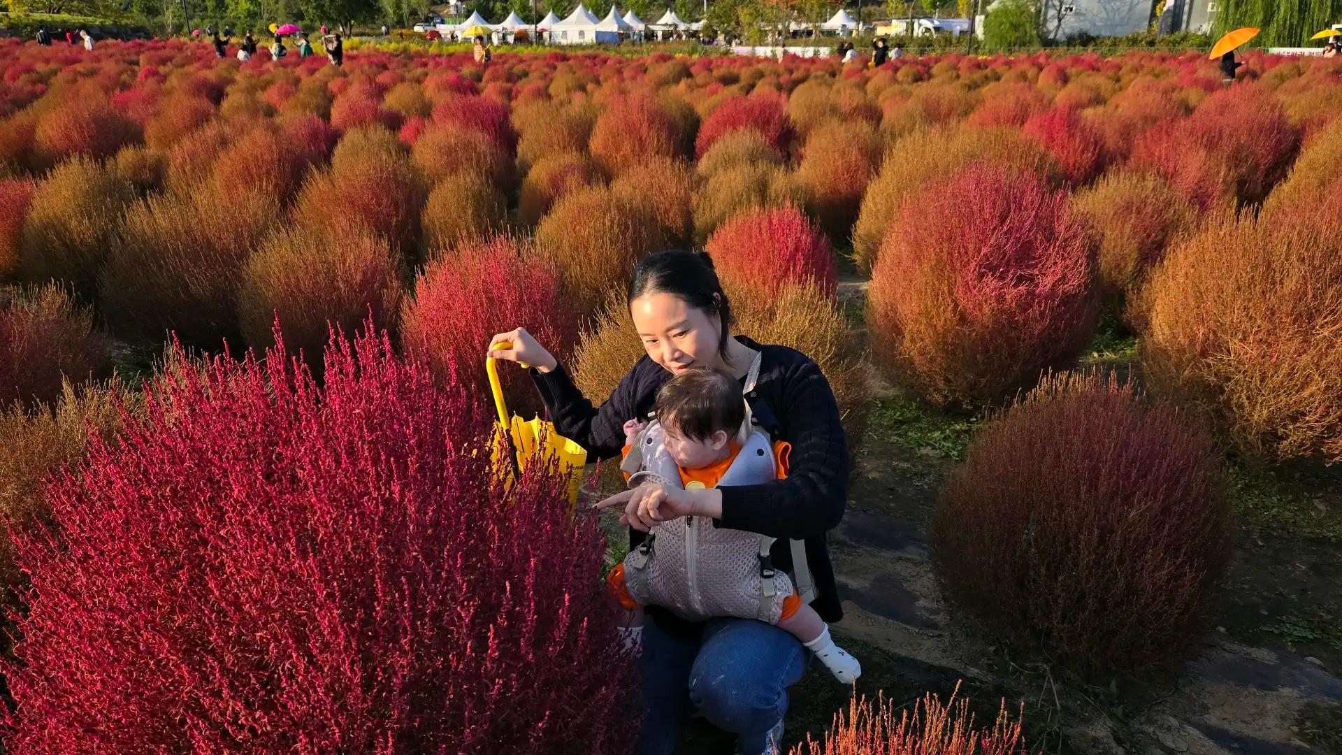 크루톡 이미지