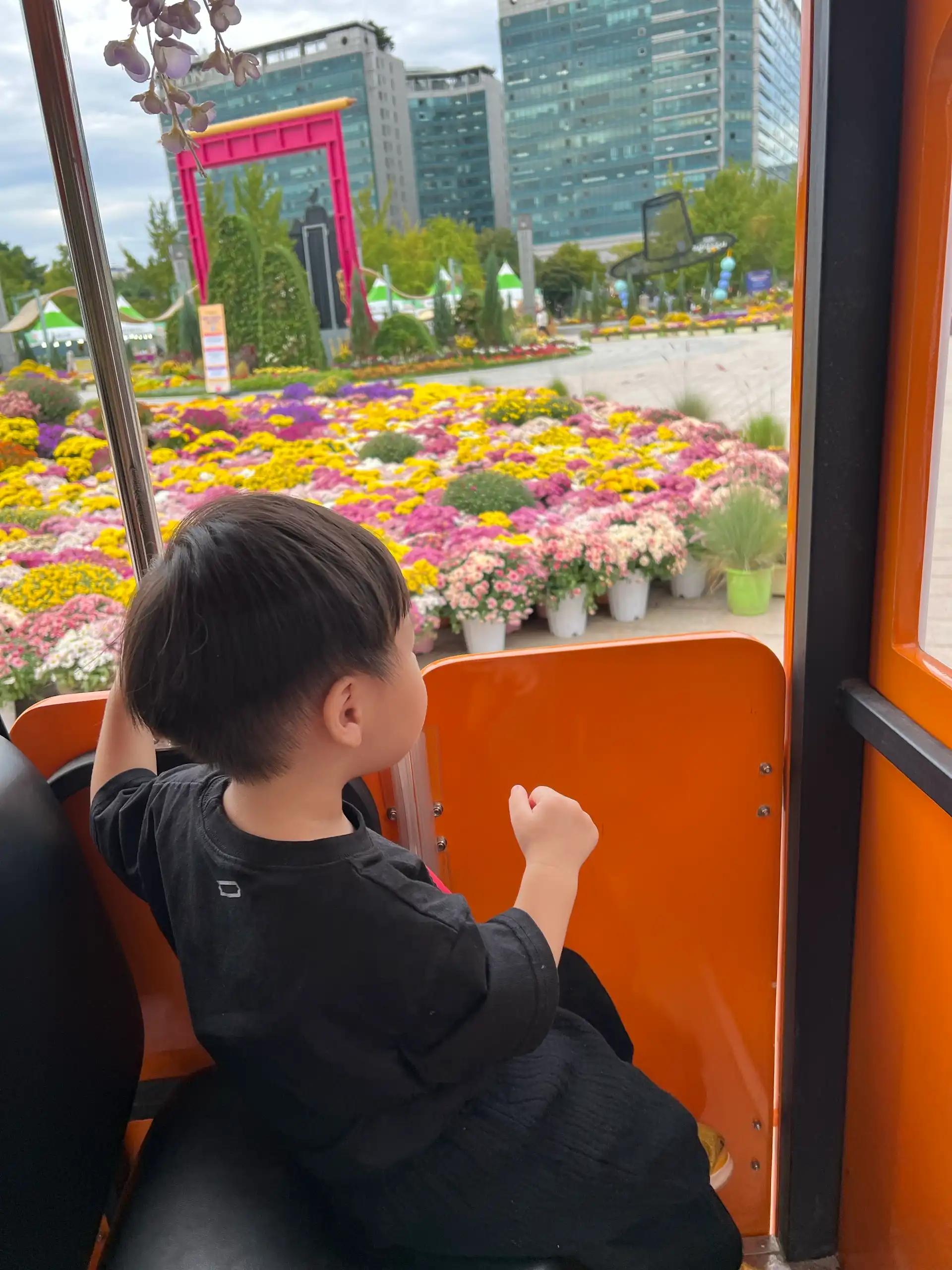 크루톡 이미지 3