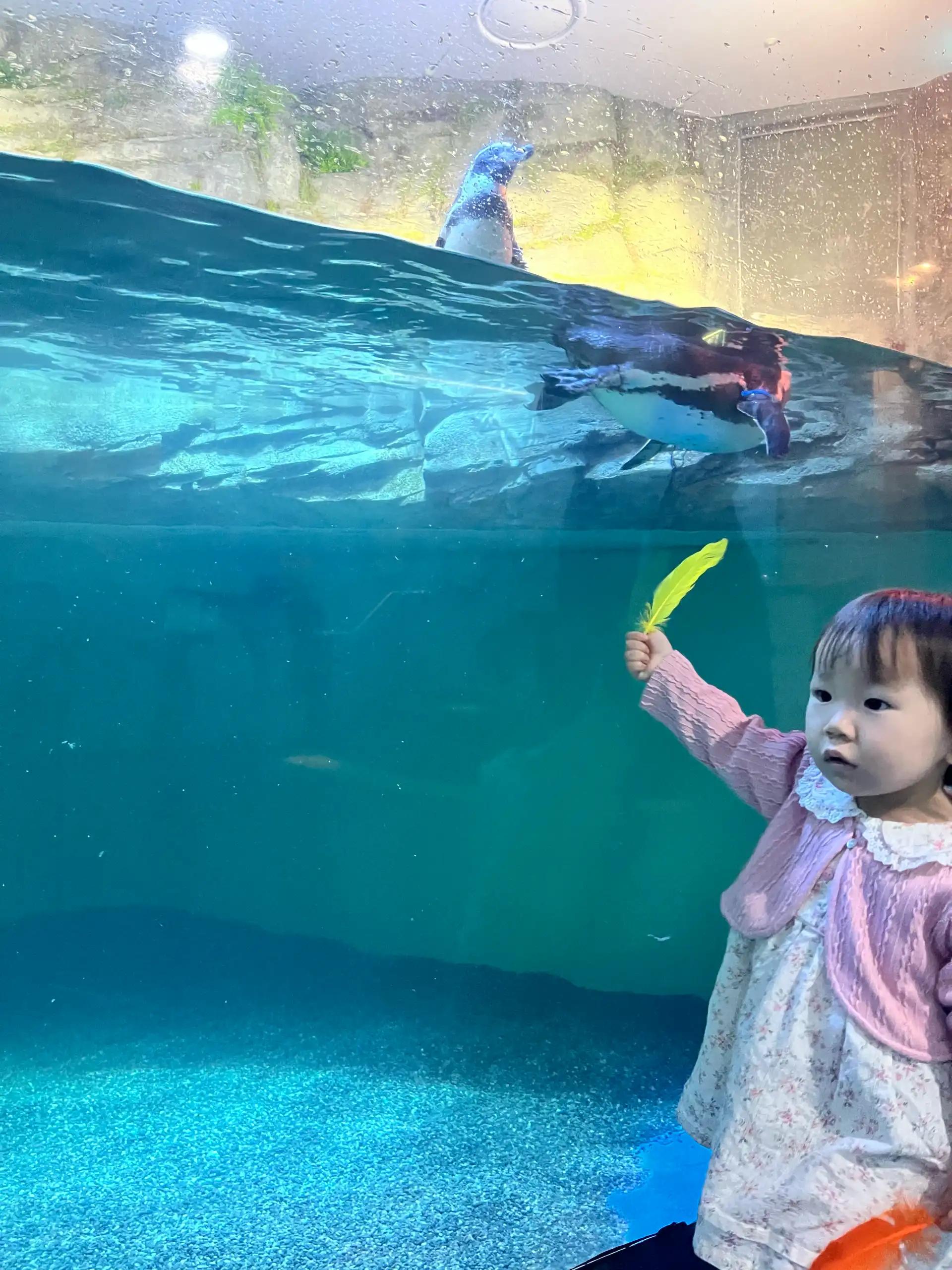 크루톡 이미지 1