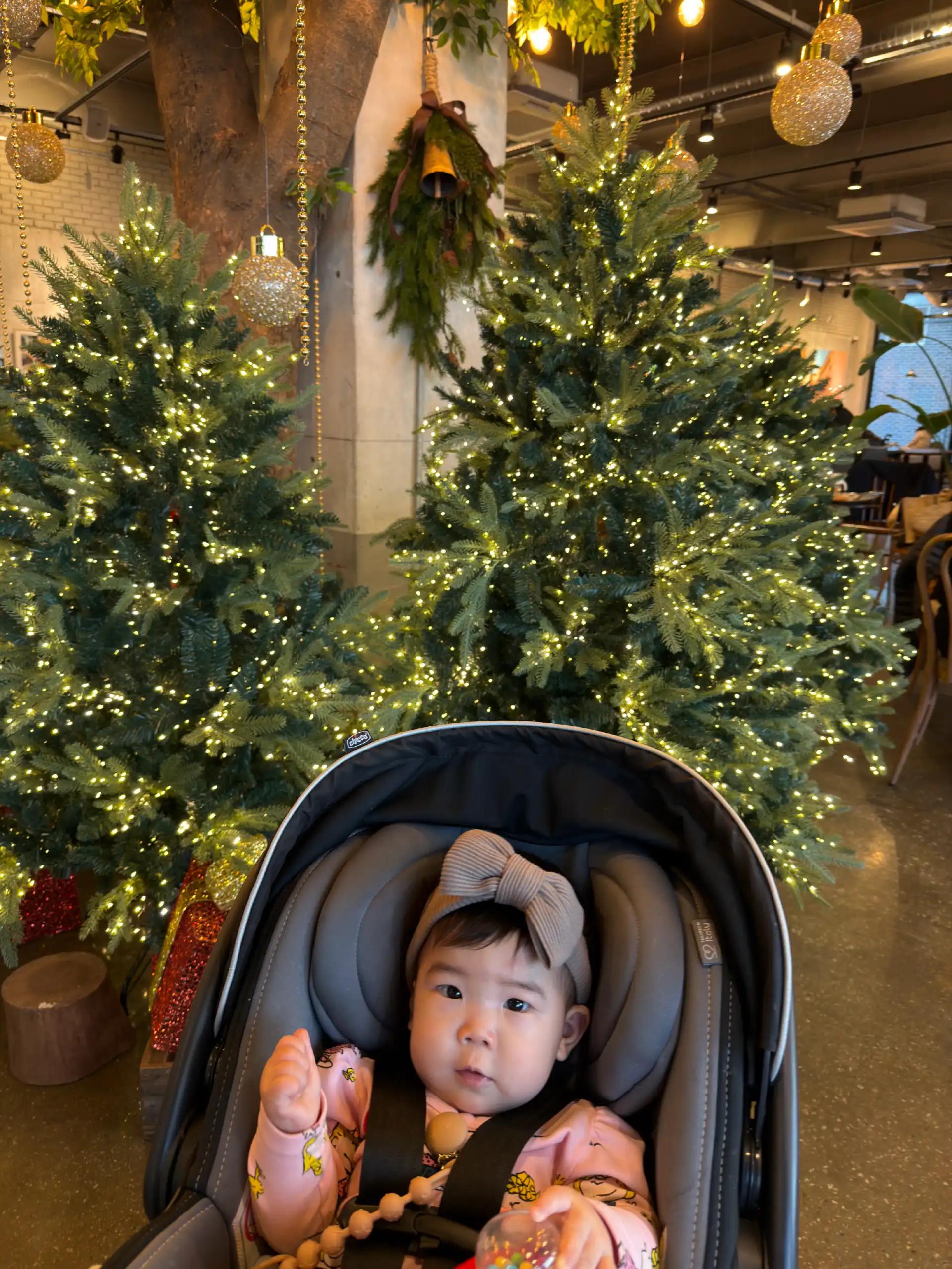 크루톡 이미지 1