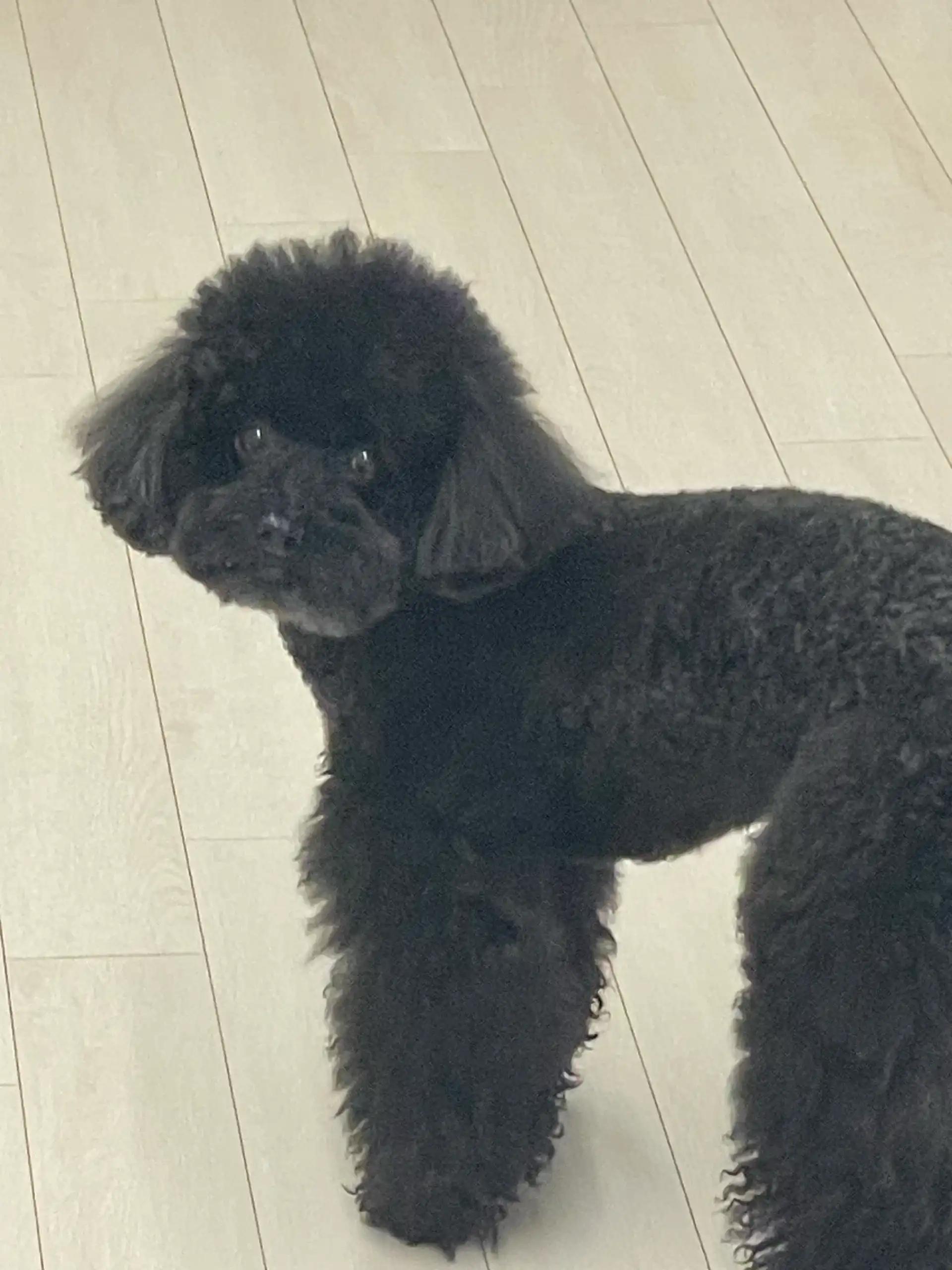 ํฌ๋ฃจํก ์ด๋ฏธ์ง