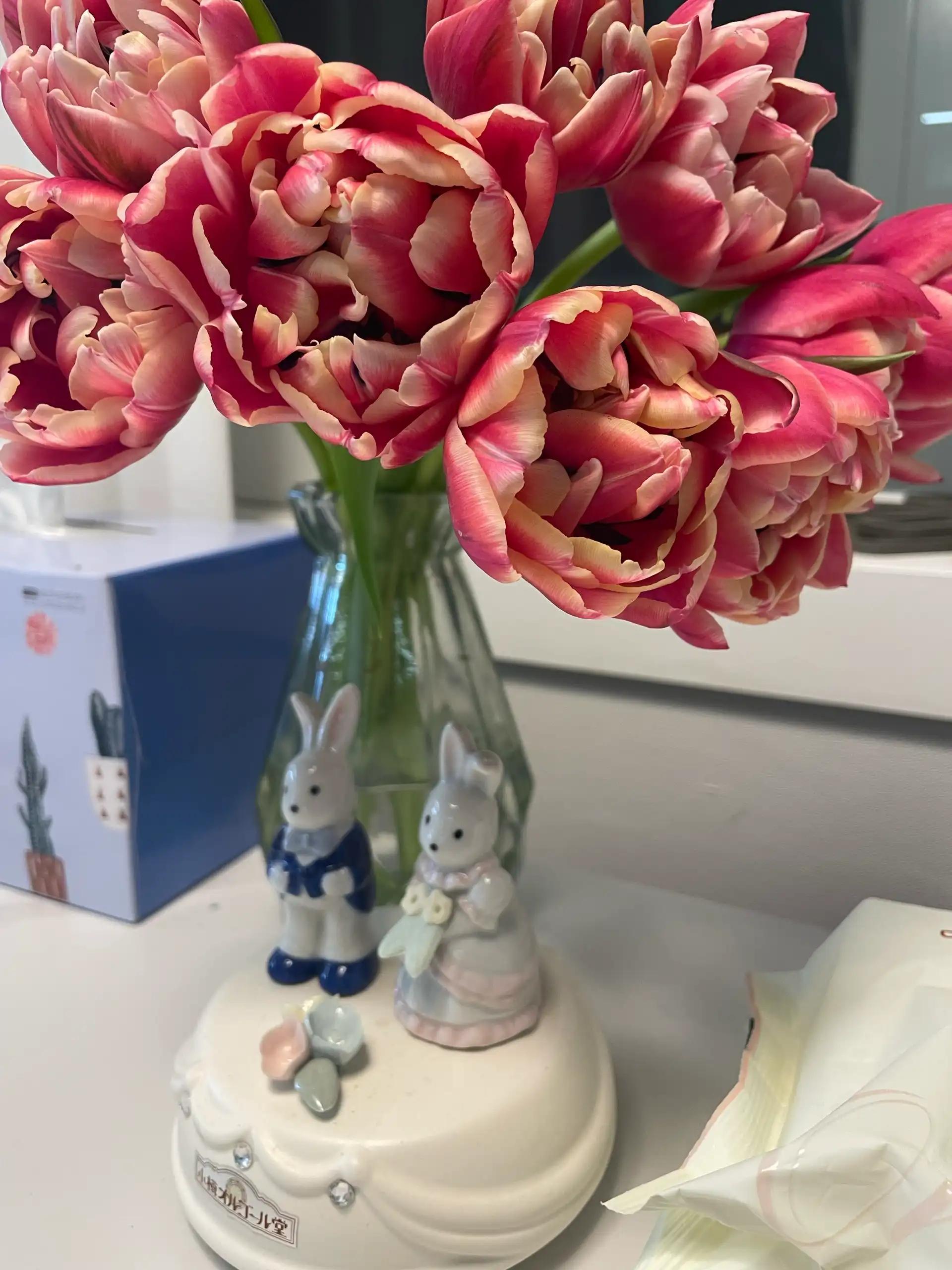 크루톡 이미지 2