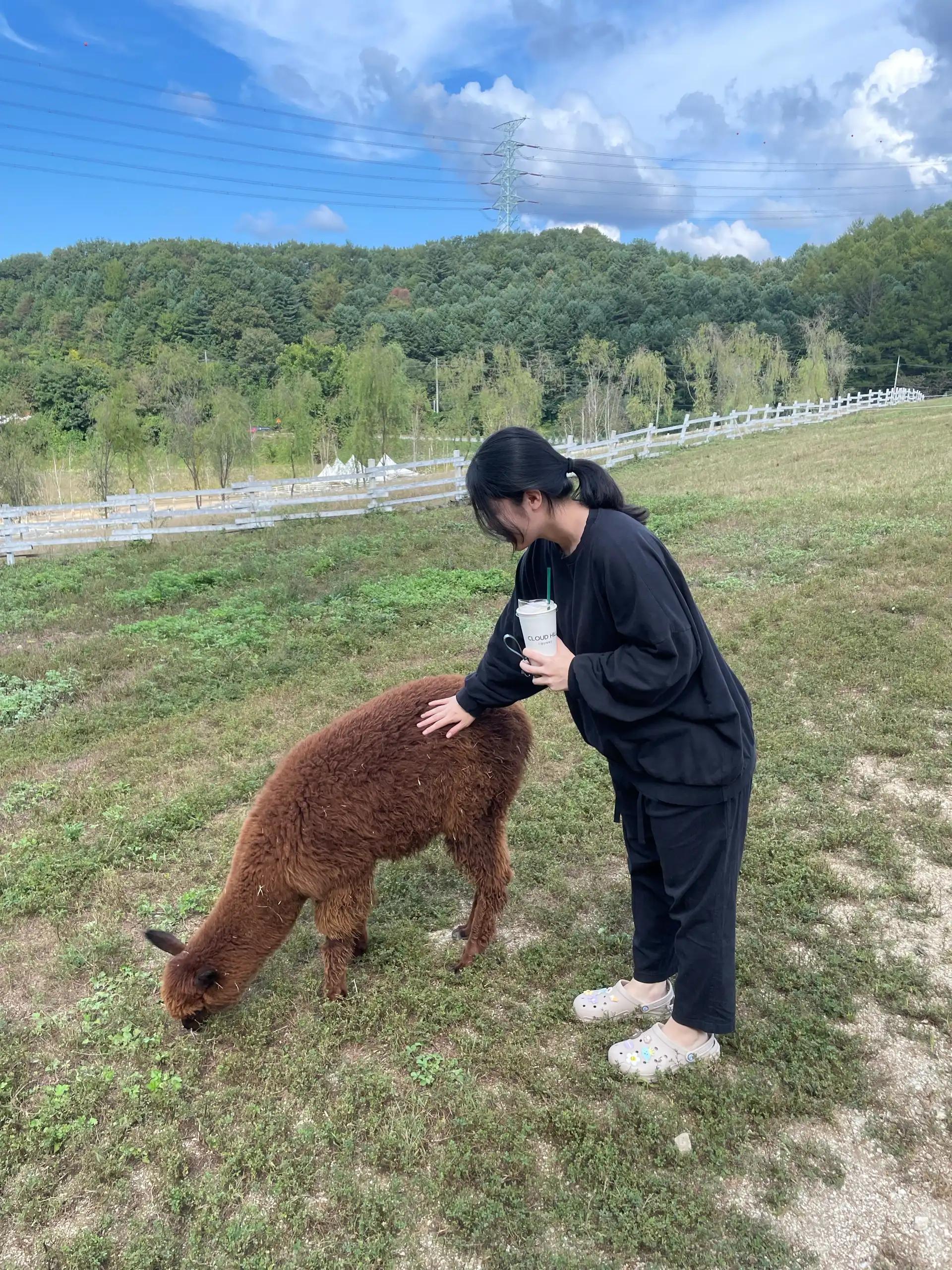 크루톡 이미지 3