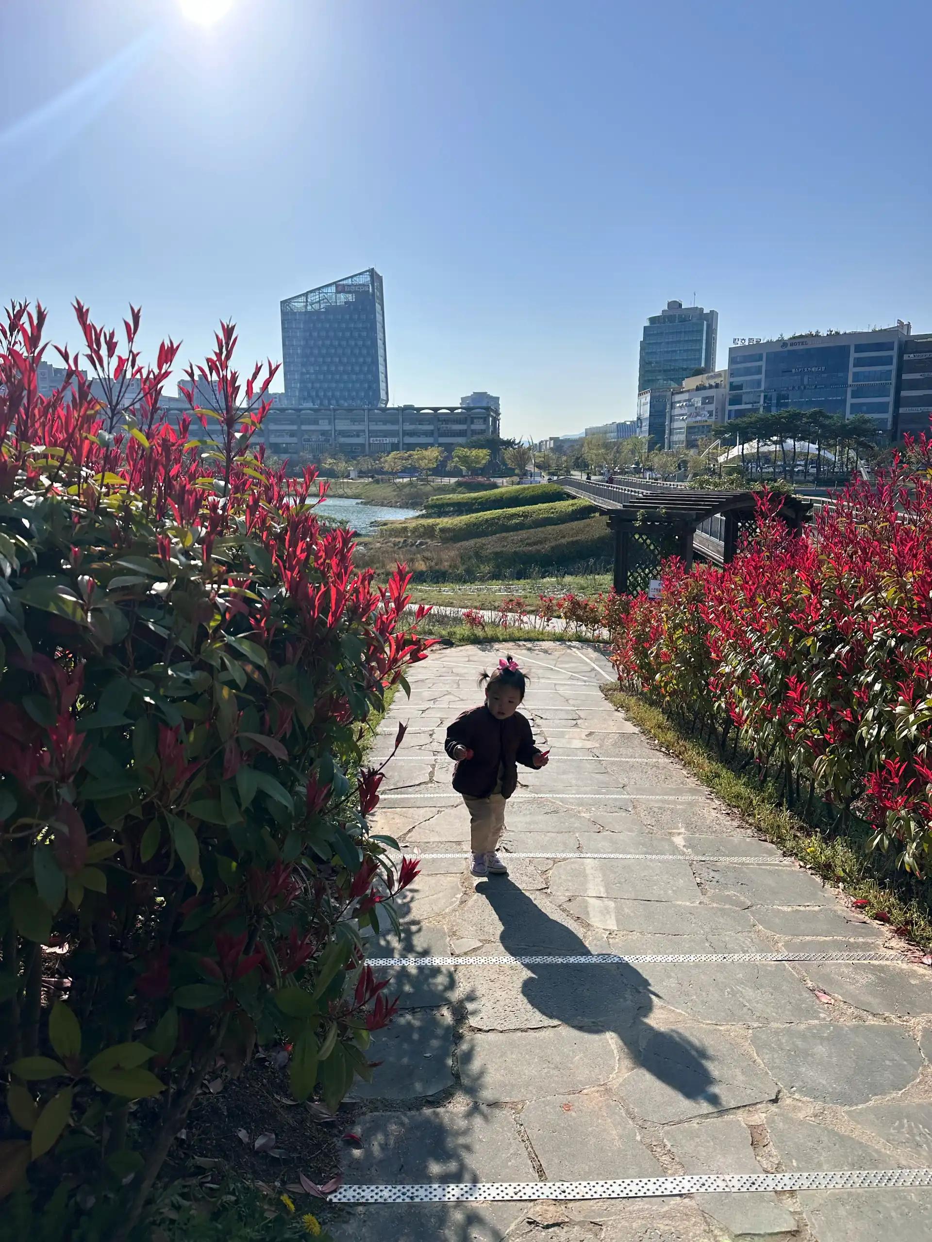 크루톡 이미지 1