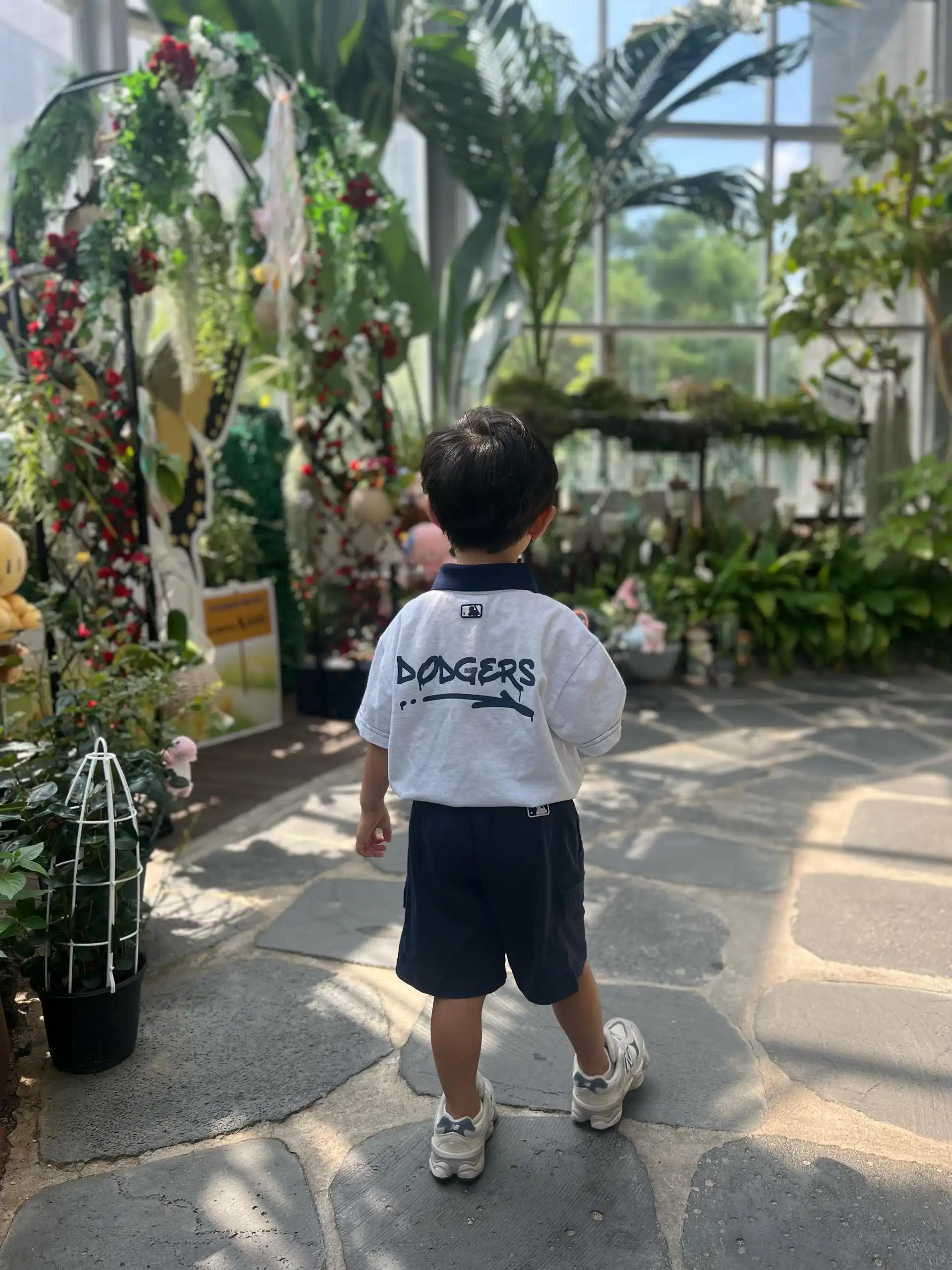 크루톡 이미지 1