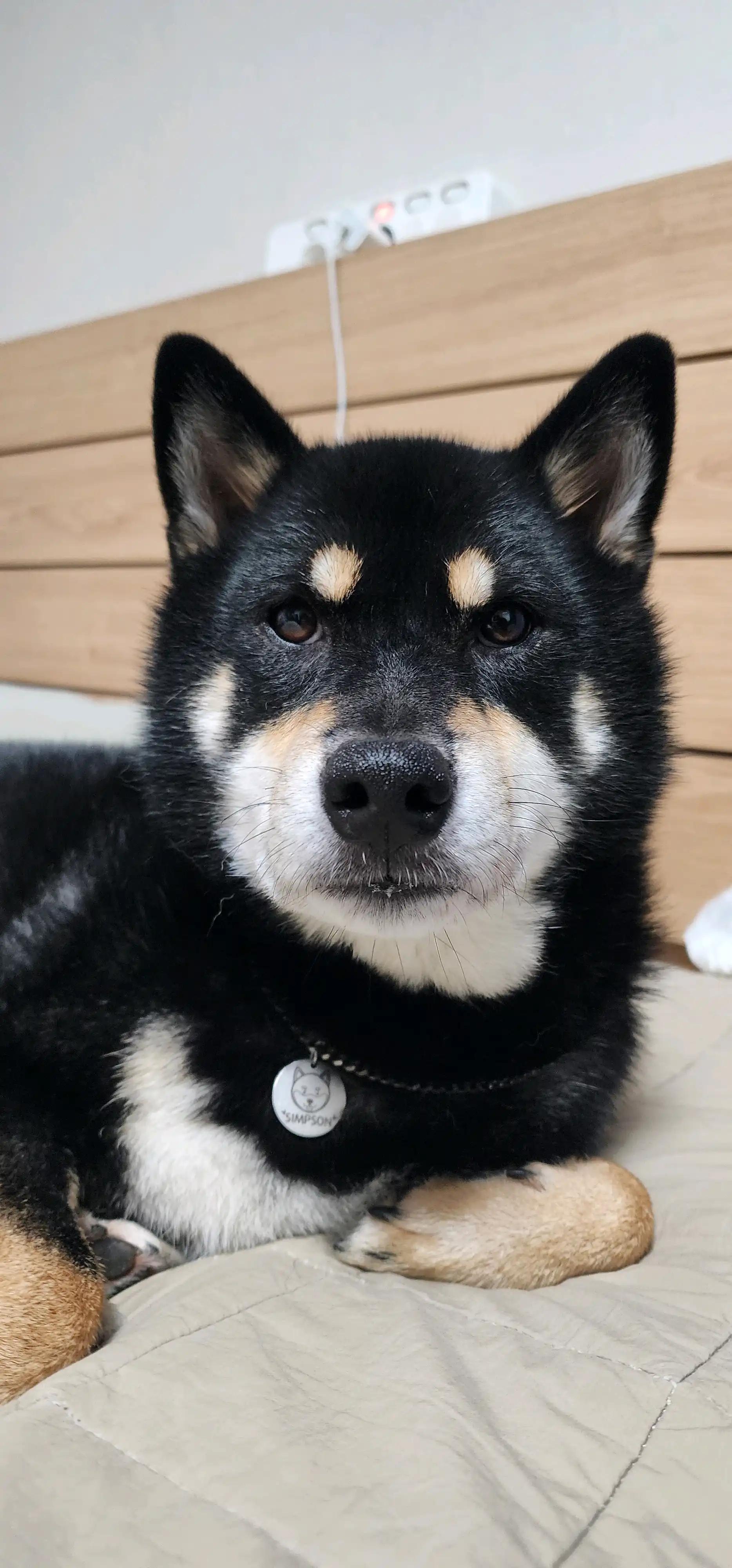 크루톡 이미지 2