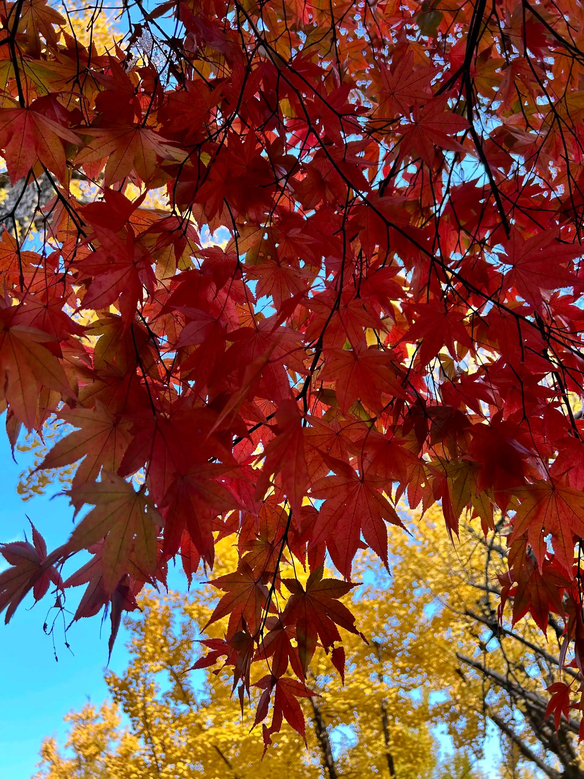 크루톡 이미지 1