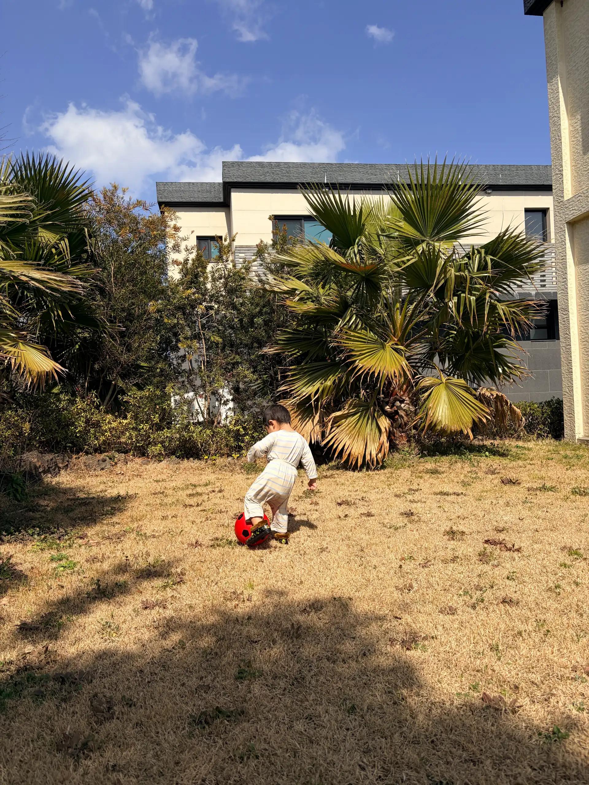 크루톡 이미지 2