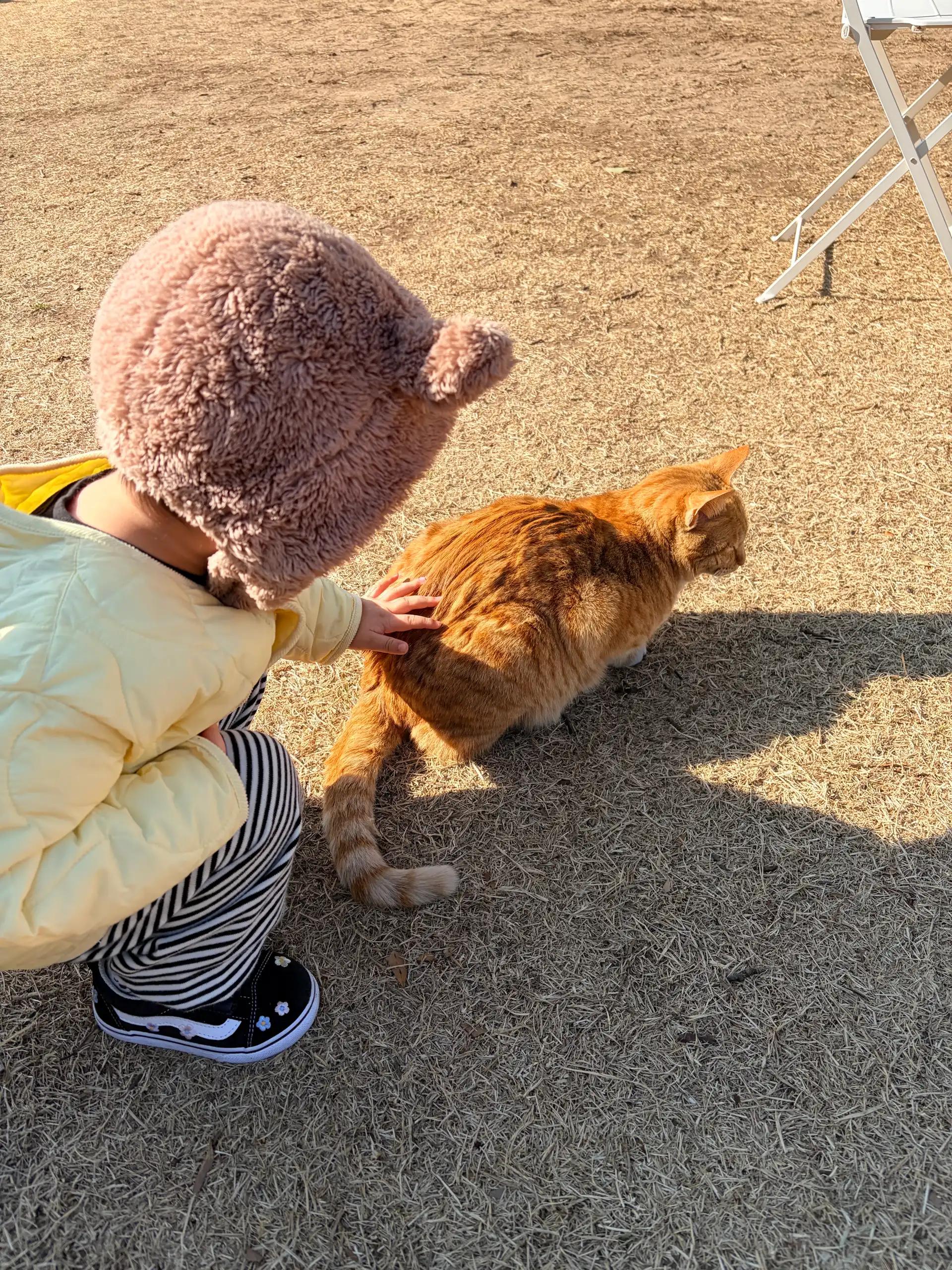 크루톡 이미지 3