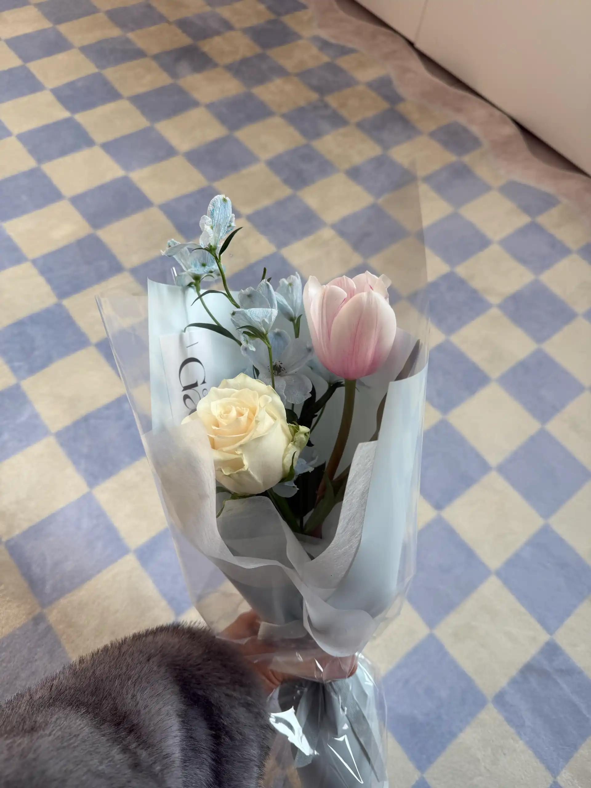 ํฌ๋ฃจํก ์ด๋ฏธ์ง