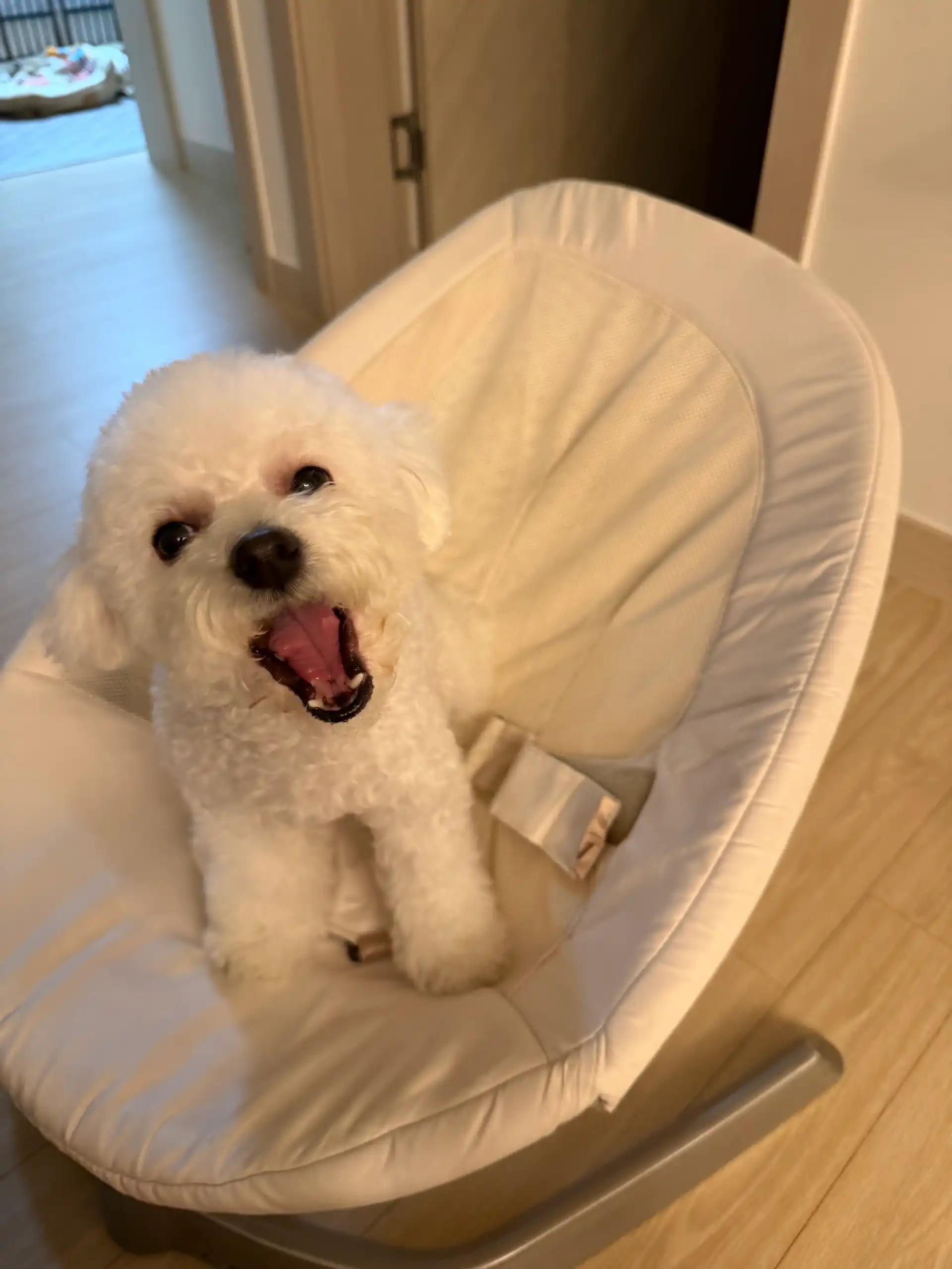 크루톡 이미지 1