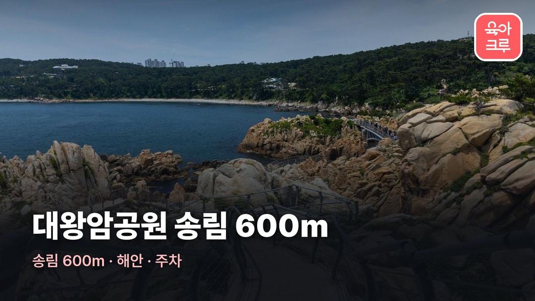 대왕암공원 송림 600m! 해가 가장 빨리 뜨는 곳이에요