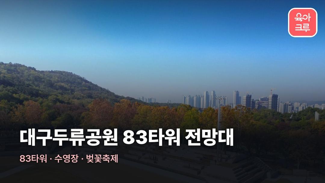 대구두류공원 83타워 전망대! 여름 수영장 벚꽃축제