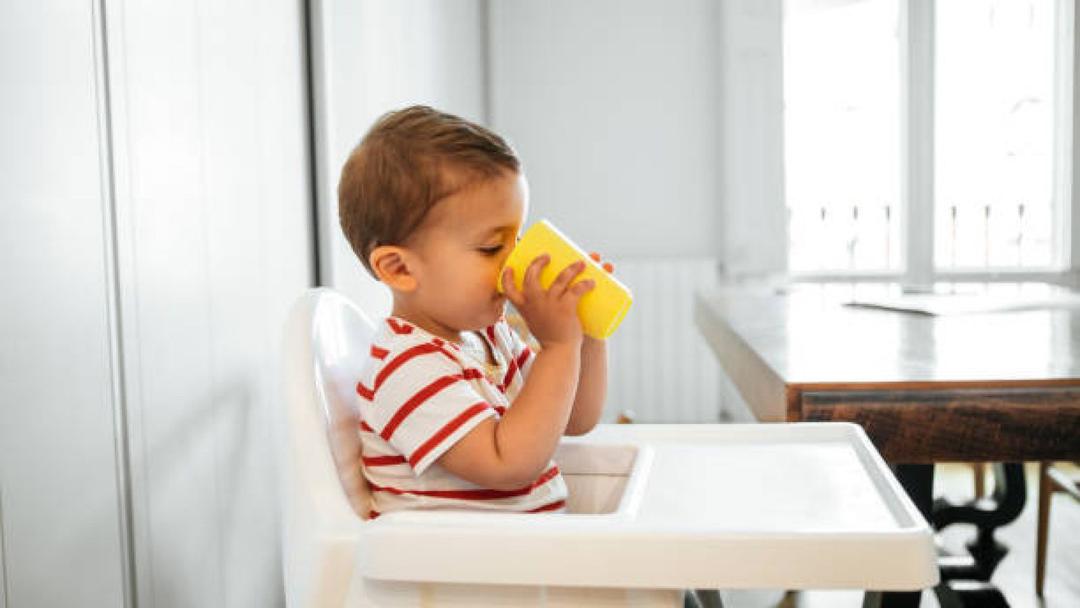 아기 배도라지즙, 언제부터 먹여도 되나요? (+엄마표 배도라지즙 레시피 & 도라지 알러지)