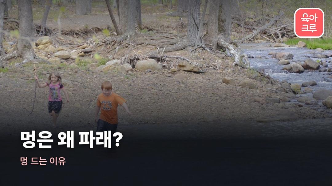 멍 드는 이유, 멍 색깔이 바뀌는 까닭